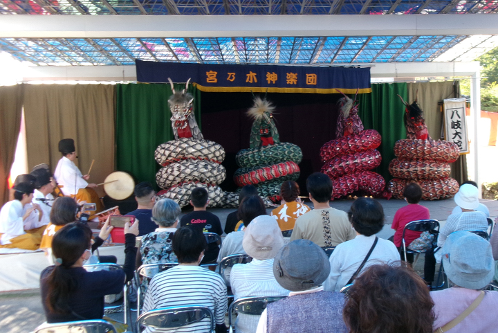 第20回 南海いきいきまつり