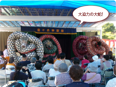 第20回 南海いきいきまつり